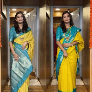 Zip up saree gown